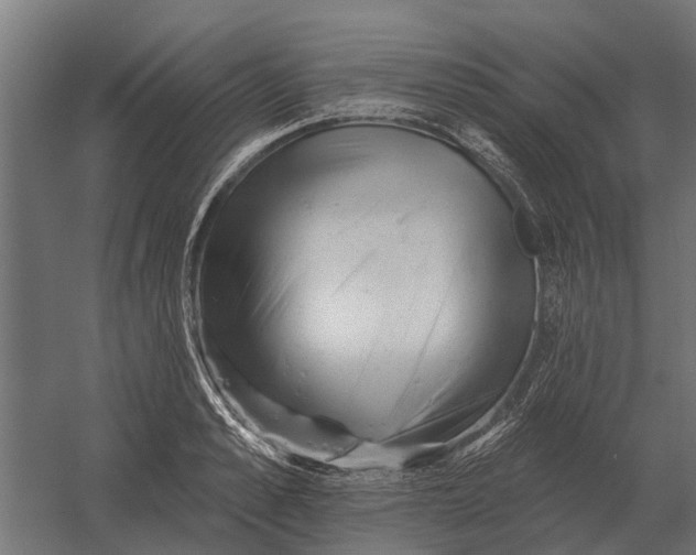 X0000052940989200507300013