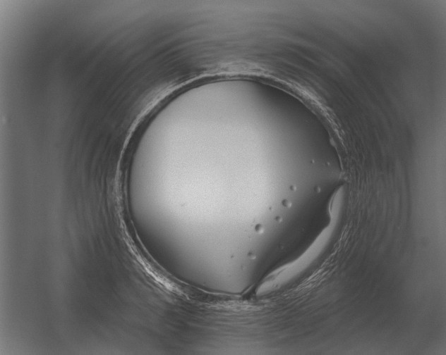 X0000052940990200507300013