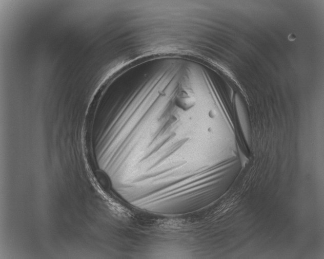 X0000052940991200507300013