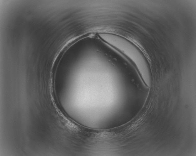 X0000052940992200507300013