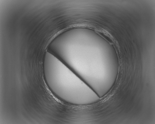 X0000052940993200507300013