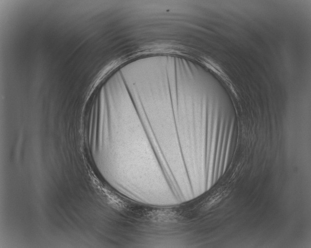 X0000052940994200507300013