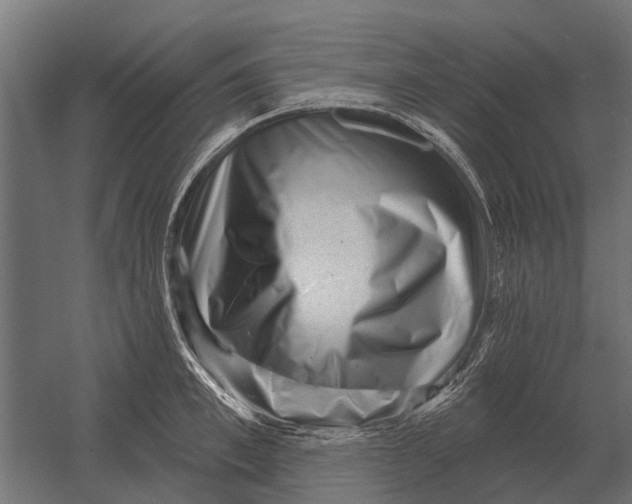 X0000052940997200507300013