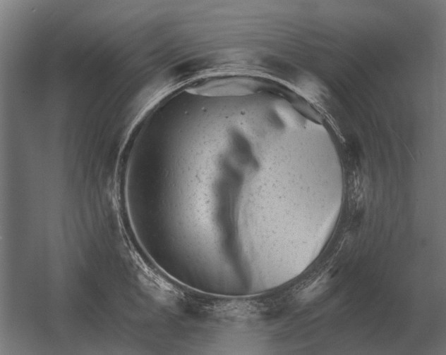 X0000052940998200507300013