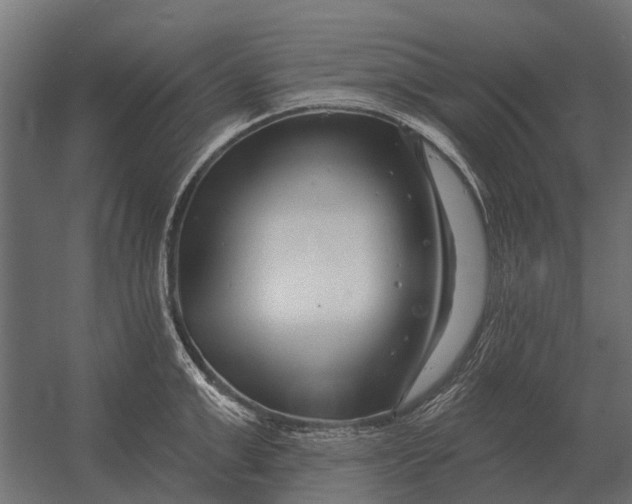 X0000052940999200507300013