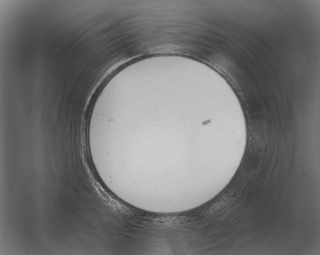 X0000052941000200507300013