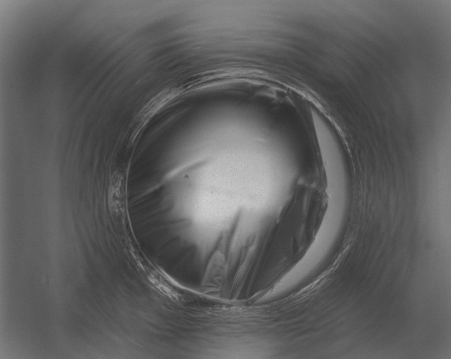 X0000052941001200507300013