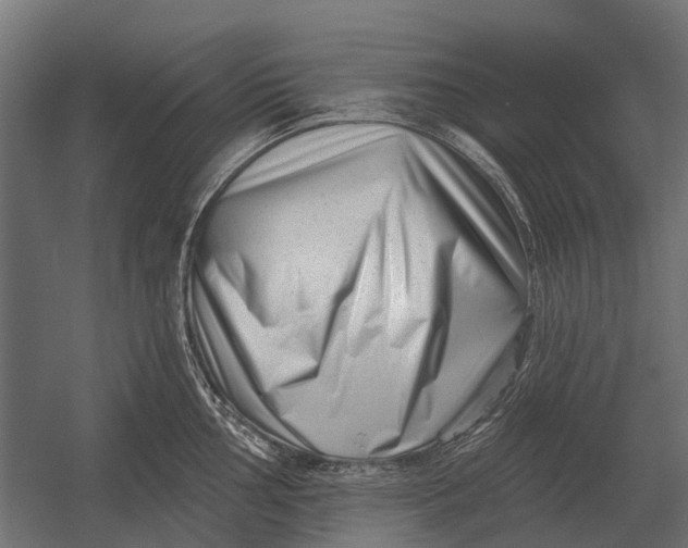 X0000052941002200507300013