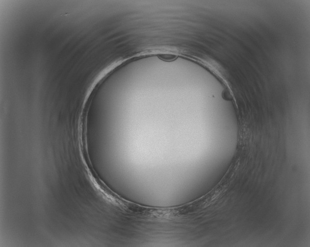 X0000052941003200507300013