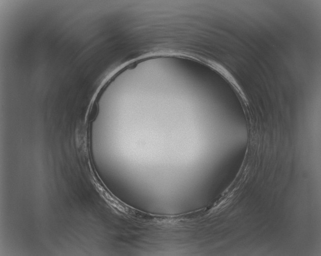 X0000052941004200507300013