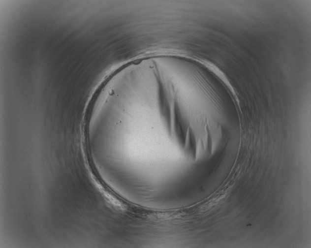 X0000052941005200507300013