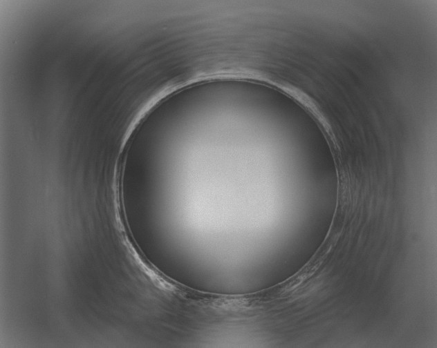 X0000052941006200507300013