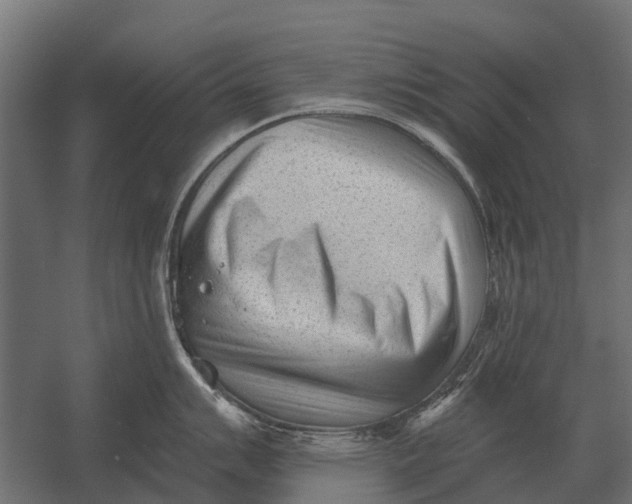 X0000052941007200507300013