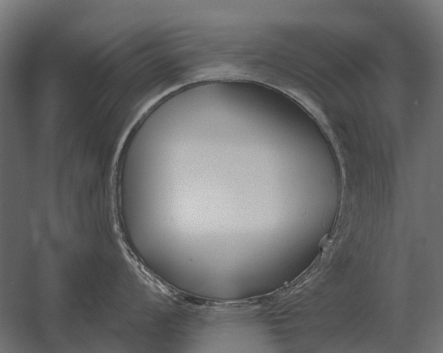 X0000052941008200507300013