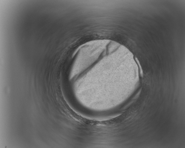 X0000052941009200507300012