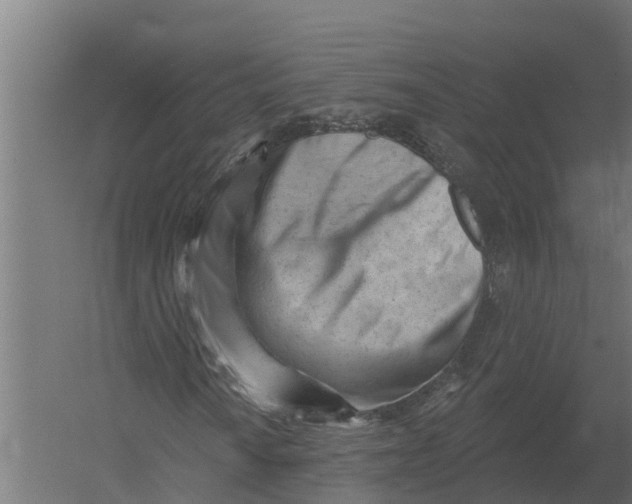 X0000052941010200507300012