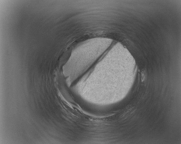 X0000052941011200507300012