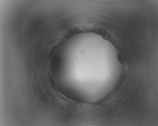 X0000052941012200507300012