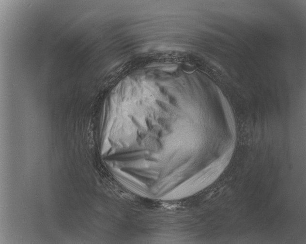 X0000052941013200507300012