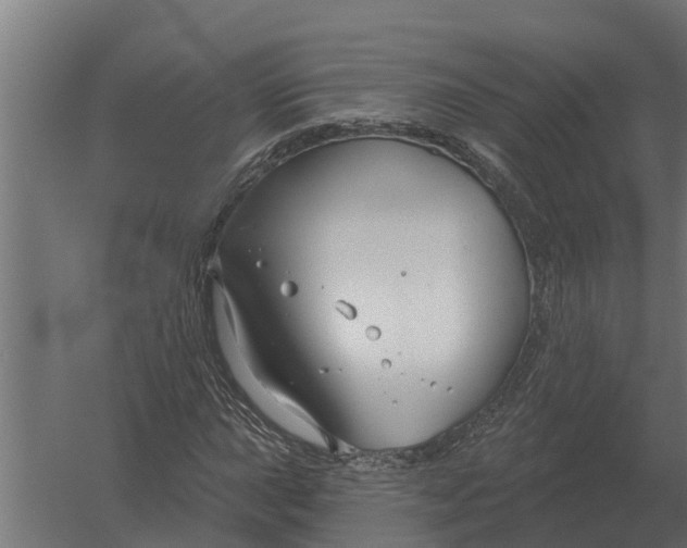 X0000052941015200507300012