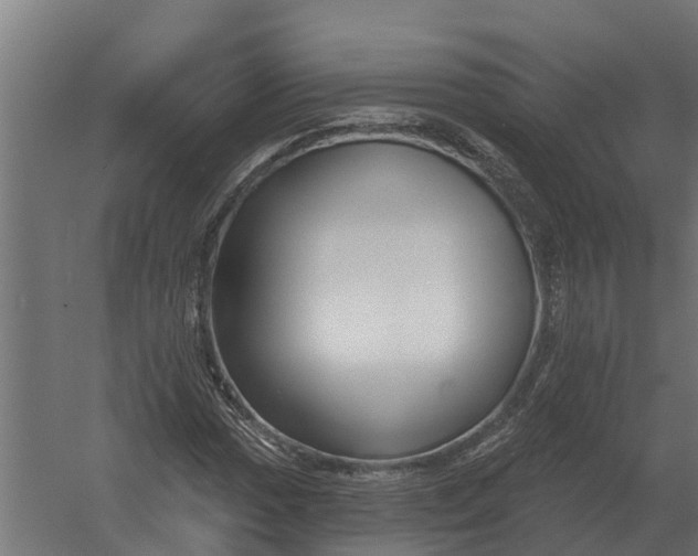 X0000052941017200507300012