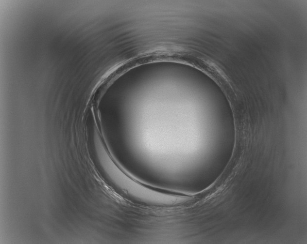 X0000052941018200507300012