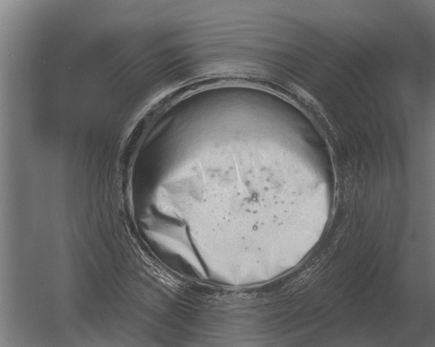 X0000052941019200507300012