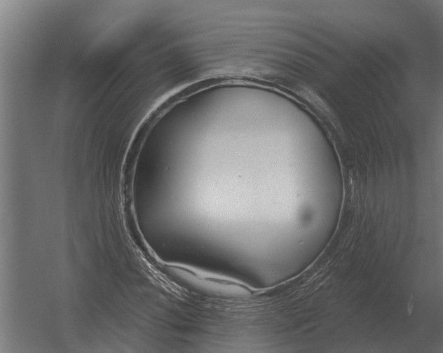 X0000052941020200507300013