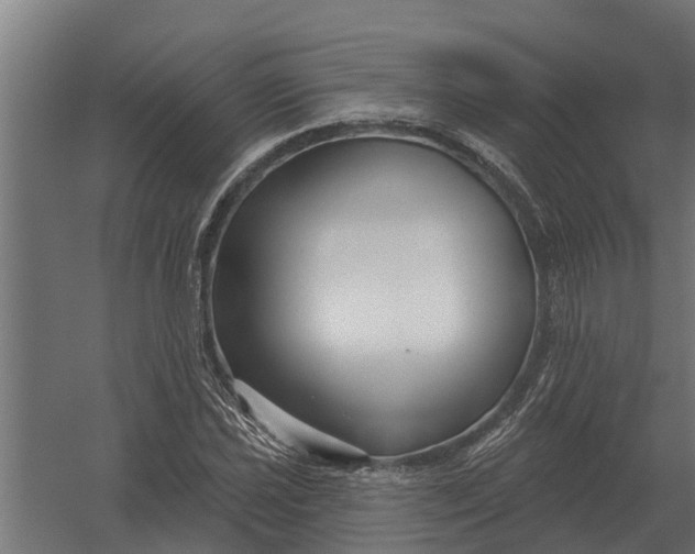 X0000052941021200507300013