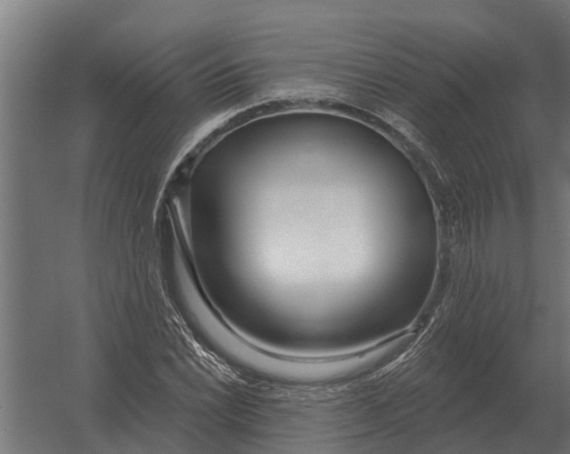 X0000052941022200507300013