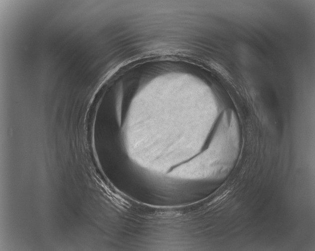 X0000052941023200507300013