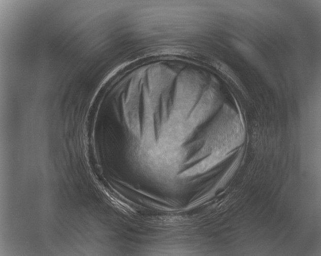 X0000052941024200507300013