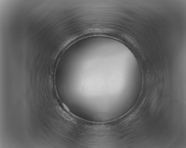 X0000052941025200507300013