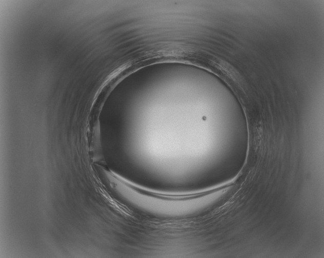 X0000052941026200507300013