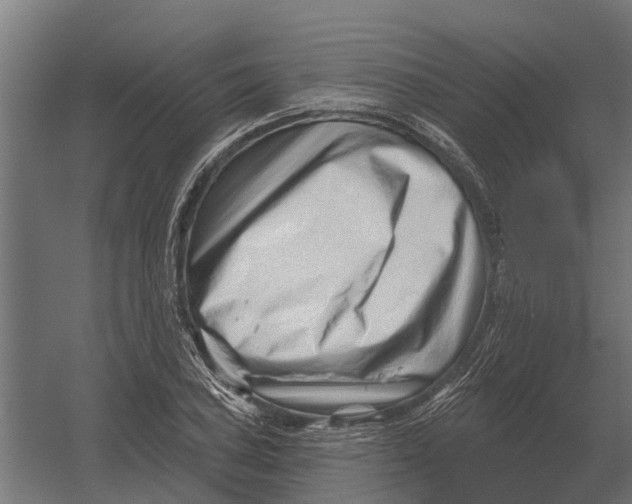 X0000052941027200507300013