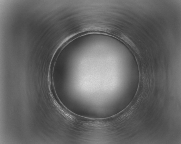 X0000052941028200507300013