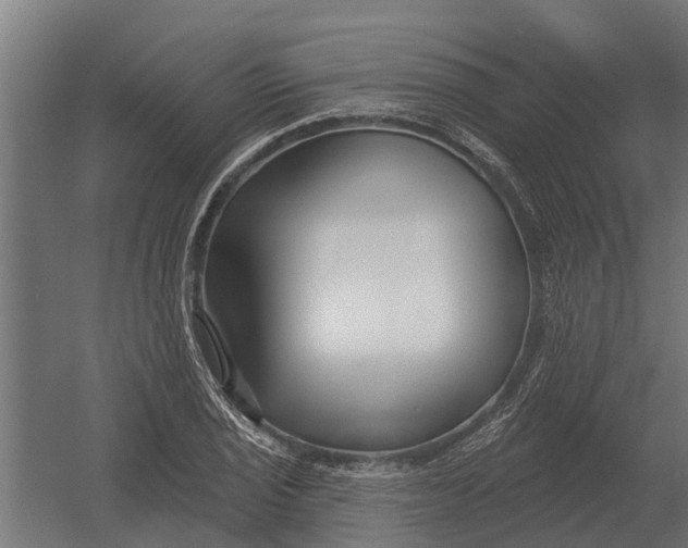 X0000052941029200507300013