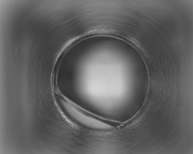 X0000052941030200507300013