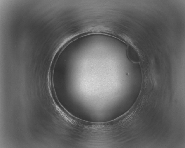 X0000052941032200507300013