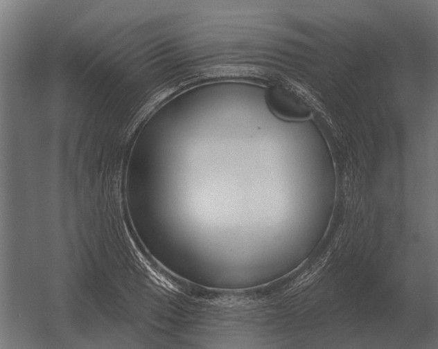 X0000052941033200507300013