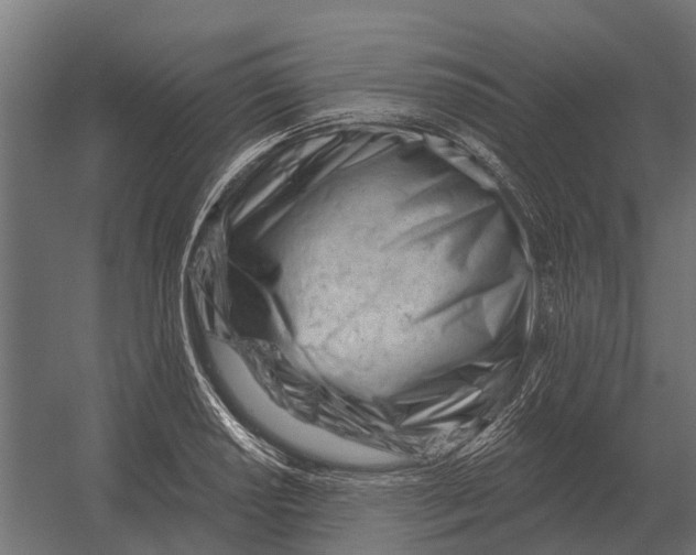 X0000052941034200507300013