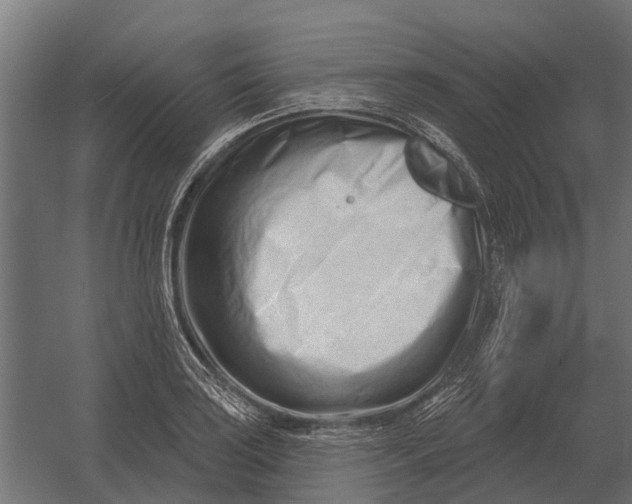 X0000052941035200507300013