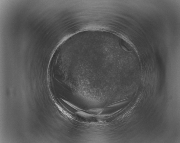 X0000052941037200507300013