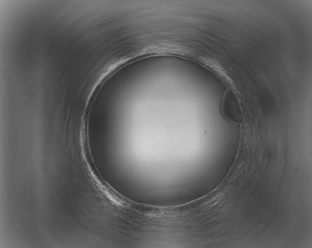 X0000052941040200507300013