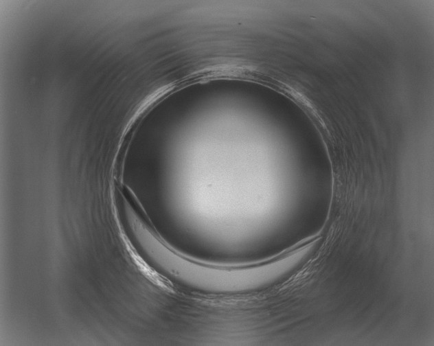 X0000052941042200507300013