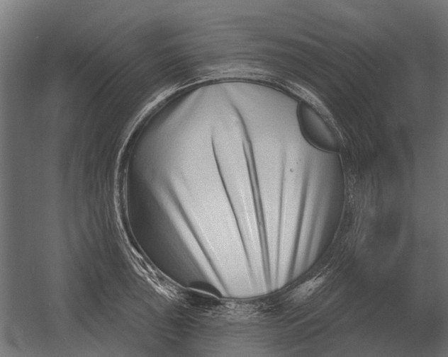 X0000052941043200507300013