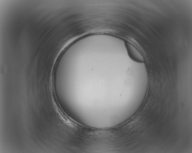 X0000052941044200507300013