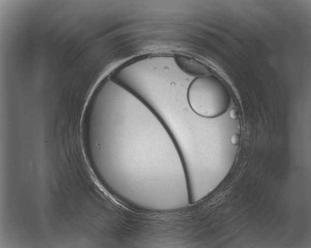 X0000052941045200507300013