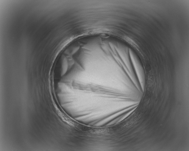 X0000052941047200507300013