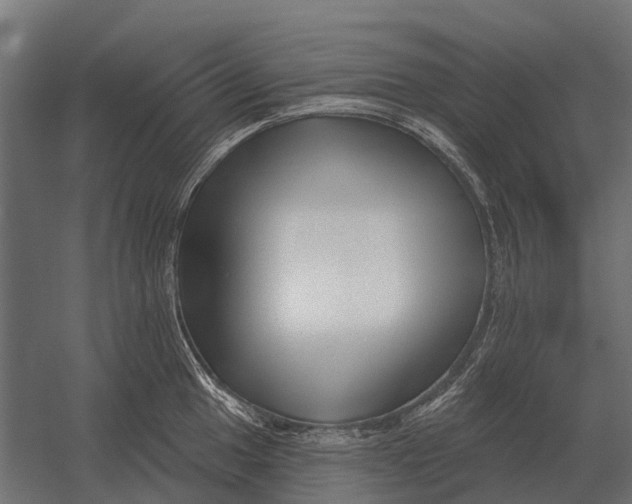 X0000052941049200507300013